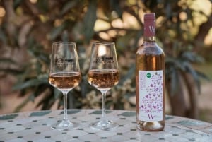 Privat day trip from Marrakesh with Wine tasting