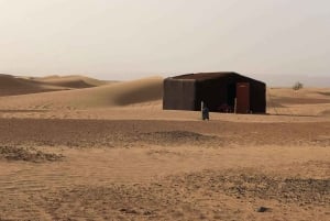 Private 2-Day Desert Trip with Camping & Camel Trekking