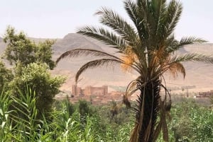 Private 2-Day Desert Trip with Camping & Camel Trekking