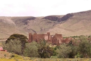 Private 2-Day Desert Trip with Camping & Camel Trekking