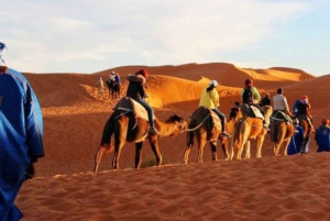 Частный 4-дневный роскошный тур по пустыне из Марракеша в Мерзугу