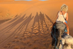 Частный 4-дневный роскошный тур по пустыне из Марракеша в Мерзугу