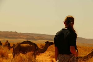 Private 5-Days from to Marrakech to Erg Chegaga Desert