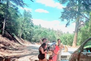 Traslado privado do aeroporto: Aeroporto de Marraquexe ⇆ Hotéis/Riads