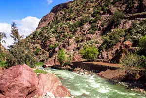 Marrakech: Day Trip to the Atlas Mountain and Ourika Valley