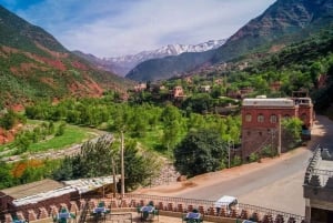 Marrakech: Day Trip to the Atlas Mountain and Ourika Valley