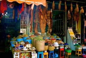 Private Full-Day Marrakech Trip from Agadir