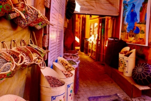Excursión privada de un día a Marrakech desde Agadir