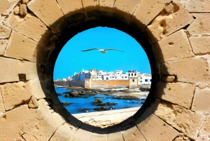 Tour privato di un giorno a Essaouira da Marrakech