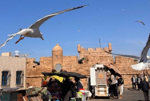 Tour privato di un giorno a Essaouira da Marrakech