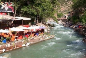 Private luxury day trip to ourika valley from Marrakech