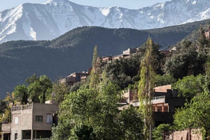 Private luxury day trip to ourika valley from Marrakech