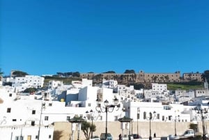 Privat rundtur i Tanger från färja/kryssningsfartyg inklusive lunch
