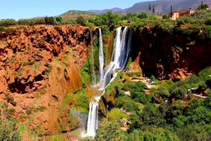 Private Tour Marrakech: Ouzoud Waterfalls Guided & Boat Ride