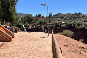 Private Tour Marrakech: Ouzoud Waterfalls Guided & Boat Ride