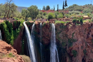 Private Tour Marrakech: Ouzoud Waterfalls Guided & Boat Ride