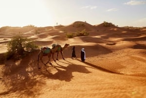 Private Transfer from Marrakech to the Agafay Desert