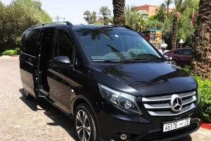 Desde Marrakech: Cena en la Azotea y Románticas Vistas a la Medina