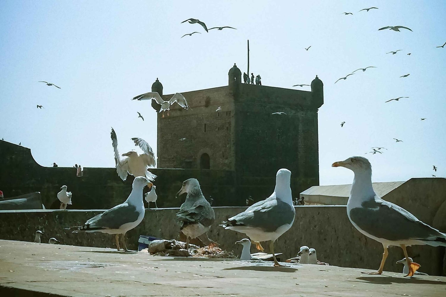 Private Transfert Between Marrakech & Essaouira