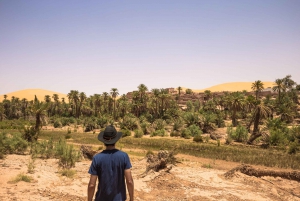 Trasferimento privato tra Marrakech e Ouarzazate