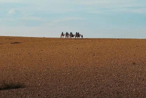 Quad Adventure with Berber Lunch and Pool Oasis