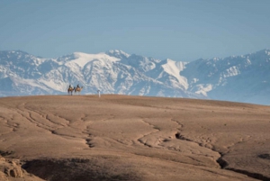 Casablanca : 7 jours de voyage de luxe du nord au désert