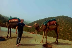 Passeio de camelo em quadriciclo e jantar-espetáculo-pôr do sol em agafay
