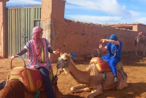 paseo en camello en quad y cena-espectáculo-atardecer en agafay