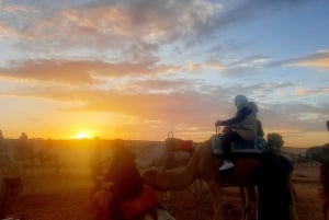 Kameltur med fyrhjuling och middag - spektakel - solnedgång vid Agafay
