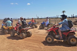 Quad y paseo en camello en Marrakech