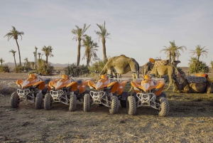 Quad bike i ørkenen og dromedar-tur
