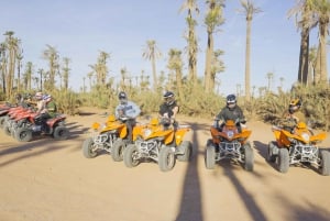 Quad en el desierto y excursión en dromedario