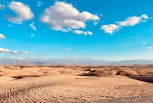 Marrakech: Agafay Desert Quad Bike Tour with Moroccan Tea