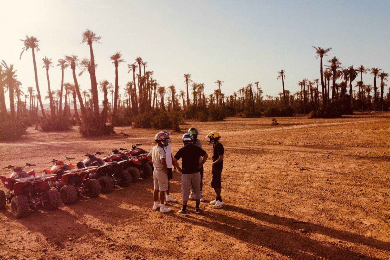 Quad biking in Marrakech's desert palm grove