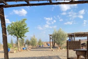 Quadrijden in de woestijn met palmbomen van Marrakech