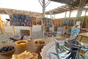 QUAD PALMERAIE MARRAKECH