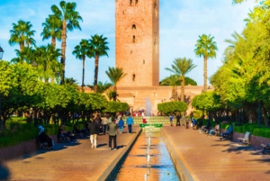 Seamless Journey: Marrakech to Casablanca Transfer