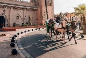 Marrakech: Hidden Souks Shopping Tour with Private Guide