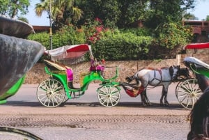 Marrakech: Hidden Souks Shopping Tour with Private Guide