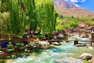 Marrakech: Ourika Valley, Atlas Waterfalls with Guide &Lunch