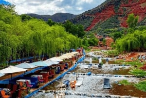 Marrakech: Ourika Valley, Atlas Waterfalls with Guide &Lunch