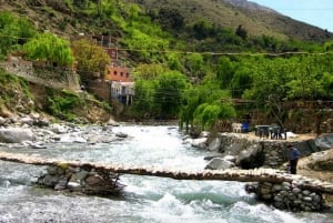 Marrakech: Ourika Valley, Atlas Waterfalls with Guide &Lunch