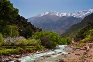 Marrakech: Ourika Valley, Atlas Waterfalls with Guide &Lunch