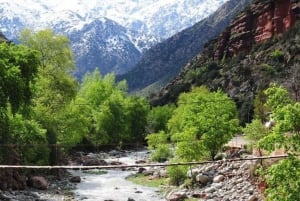 Marrakech: Ourika Valley, Atlas Waterfalls with Guide &Lunch