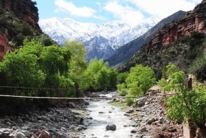 Marrakech: Ourika Valley, Atlas Waterfalls with Guide &Lunch