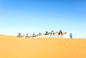 Shared 3-day Sahara desert tours from Marrakech