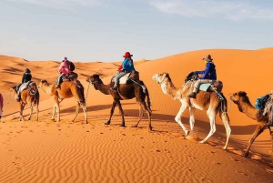 Shared 3-day Sahara desert tours from Marrakech