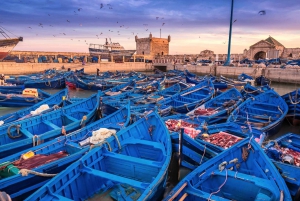 Depuis Marrakech : Excursion d'une journée en van à Essaouira