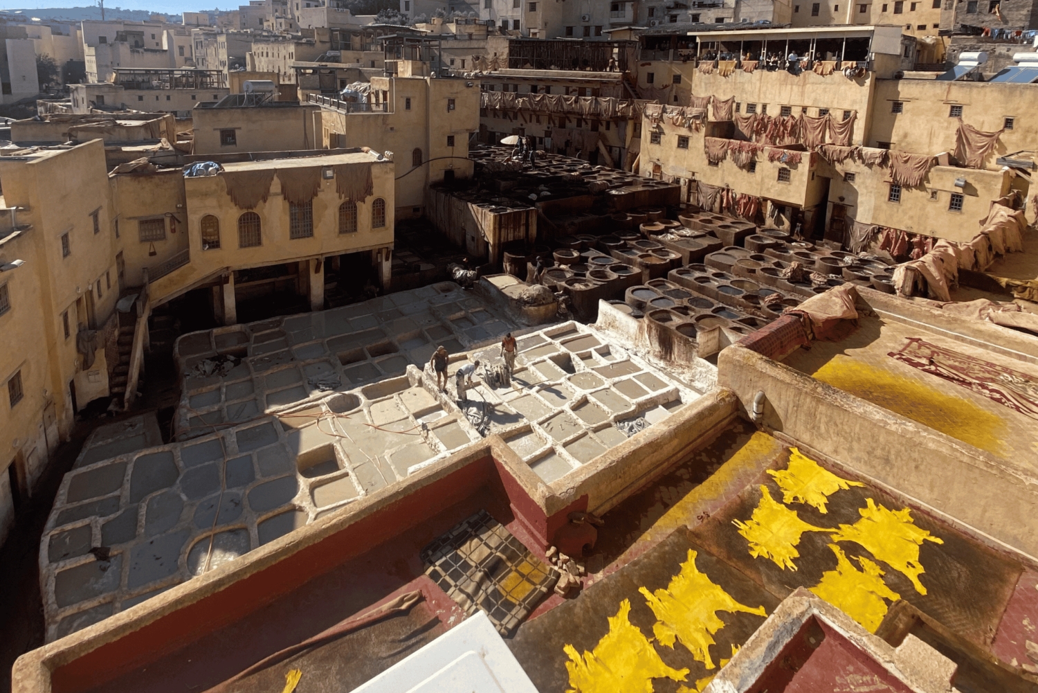 Gedeelde transfer van Marrakech naar Fez via Casablanca en Rabat