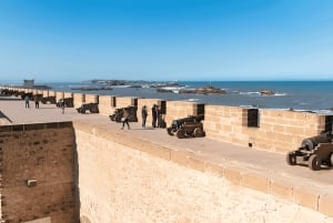 Escursione di un giorno in piccolo gruppo da Marrakech a Essaouira Mogador